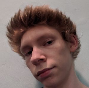 Meet your Posher, Dillon